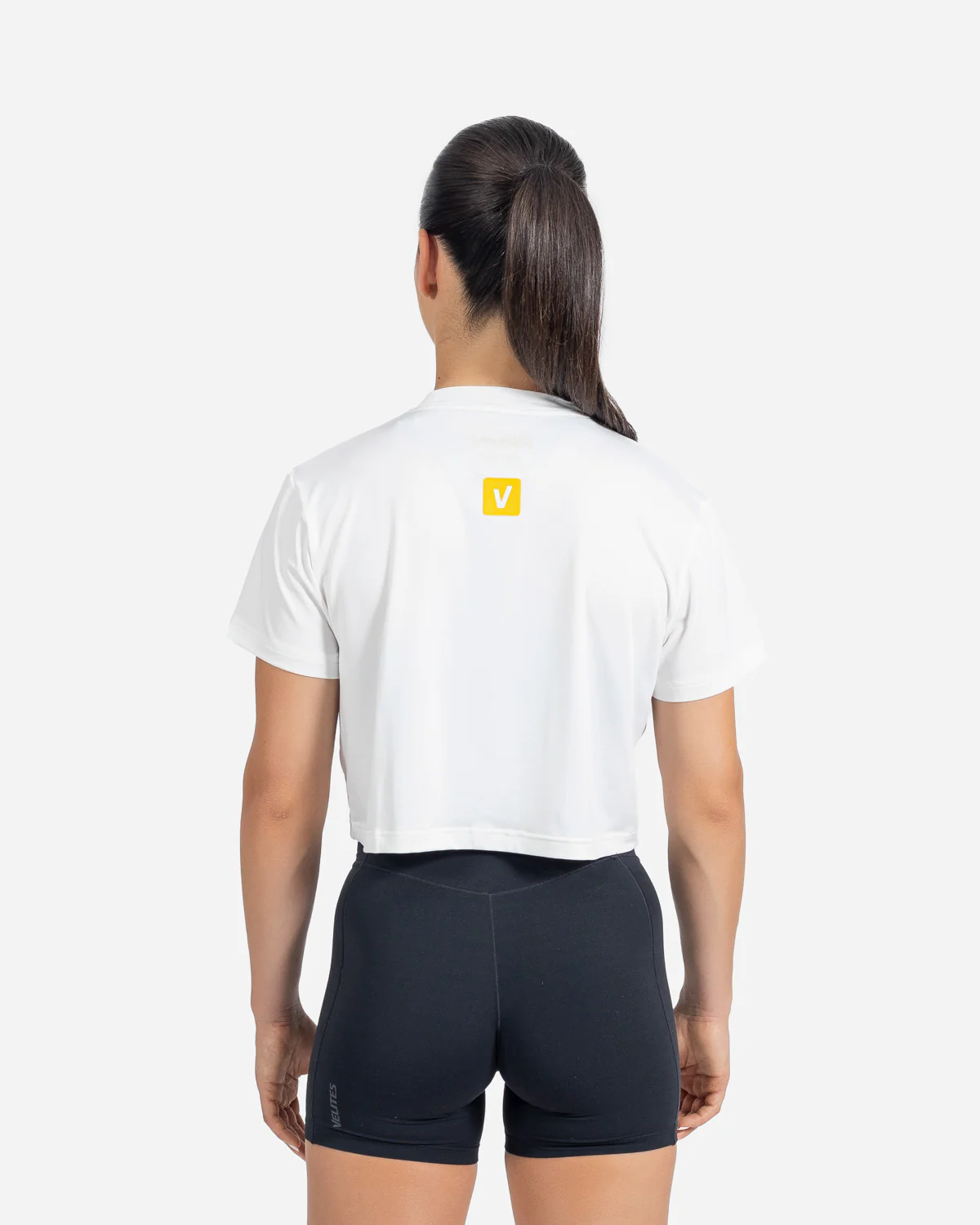 PRVN crop Holo - Image 9